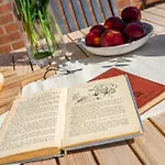 بيت للعطل The Birdie يورك